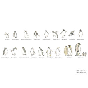 ひとふでがきA4ポスター