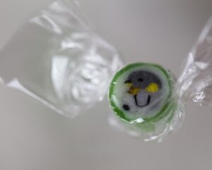 コウテイペンギンのキャンディー　光にかざすと透ける首元の黄色