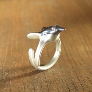 空飛ぶペンギン