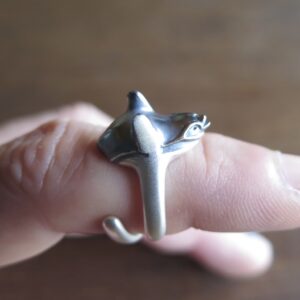 ボエ〜と鳴いているペンギン