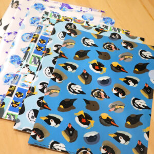 クリアファイル