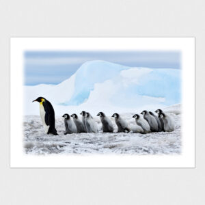 A4/A5写真プリント