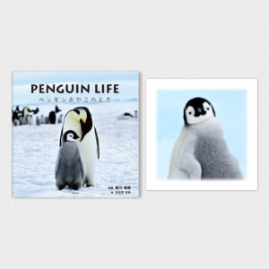 写真集（サイン入）＆A5スクエア写真プリントセット